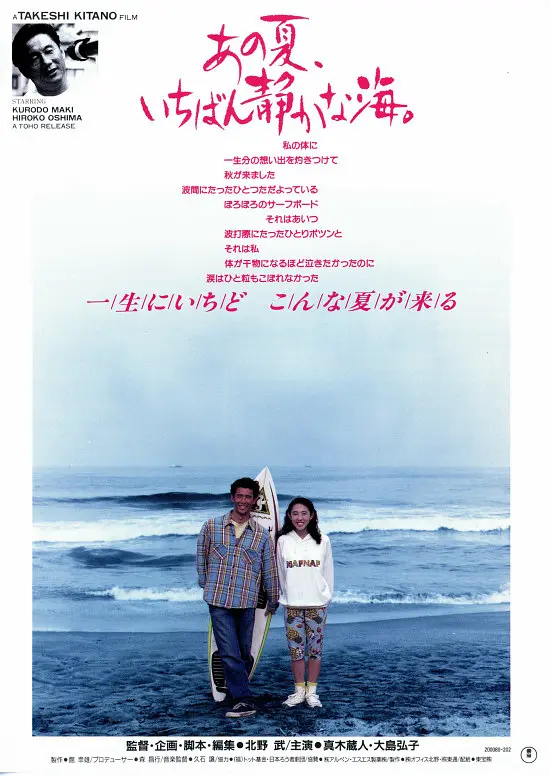 那年夏天宁静的海海报