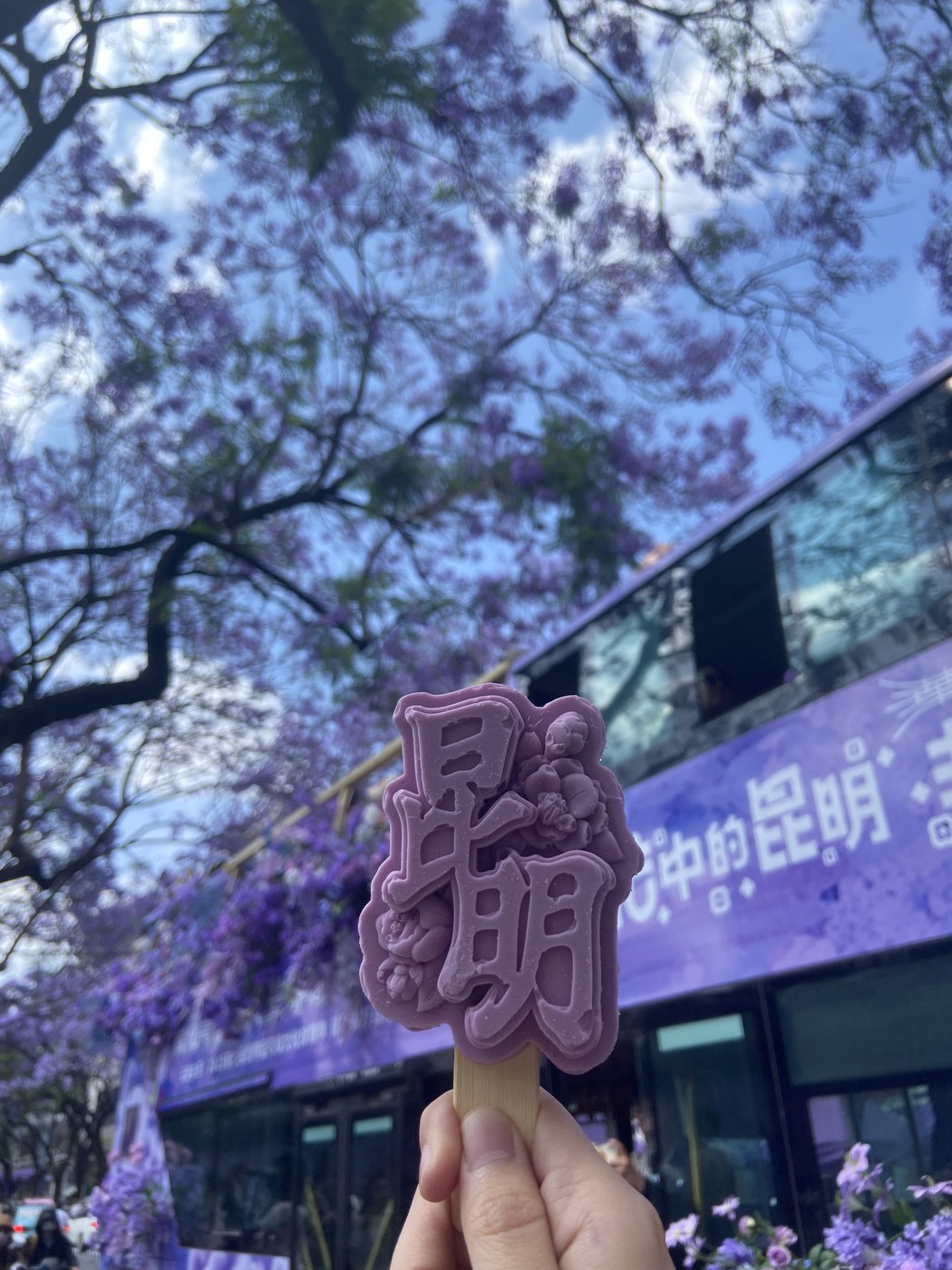 陈璐的生活照片 57